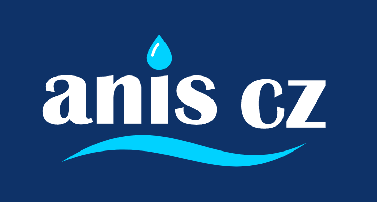 ANIS logo
